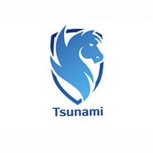 Электроскутеры Tsunami