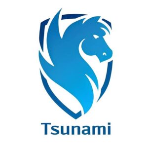 Электросамокаты Tsunami